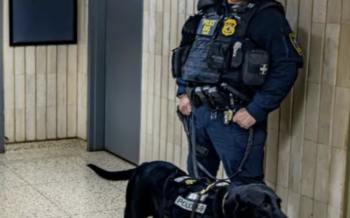 uez federal bloquea política de Trump de realizar arrestos en tribunales de inmigración en todo el país